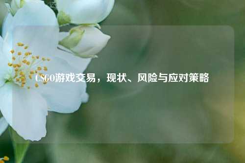 CSGO游戏交易，现状、风险与应对策略
