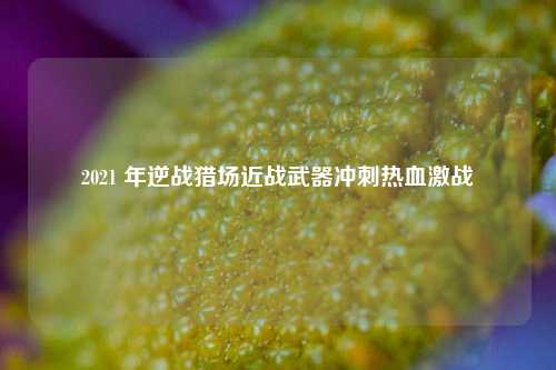 2021 年逆战猎场近战武器冲刺热血激战