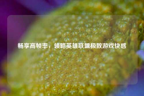 畅享高帧率，领略英雄联盟极致游戏快感