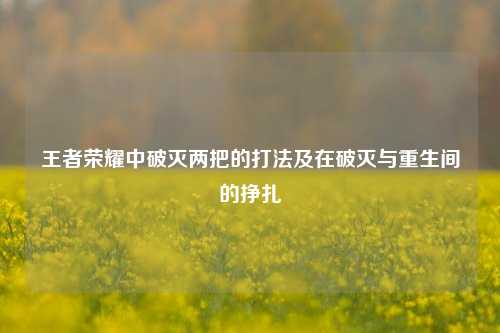 王者荣耀中破灭两把的打法及在破灭与重生间的挣扎