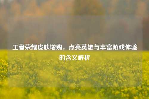 王者荣耀皮肤增购，点亮英雄与丰富游戏体验的含义解析