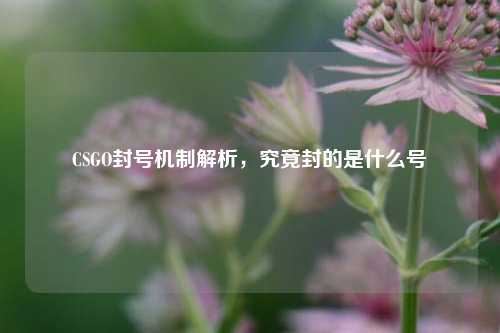 CSGO封号机制解析，究竟封的是什么号