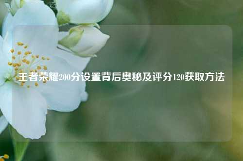 王者荣耀200分设置背后奥秘及评分120获取方法