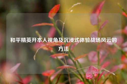 和平精英开本人视角及沉浸式体验战场风云的方法