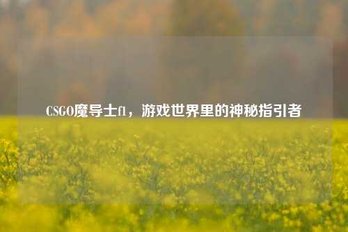 CSGO魔导士f1，游戏世界里的神秘指引者