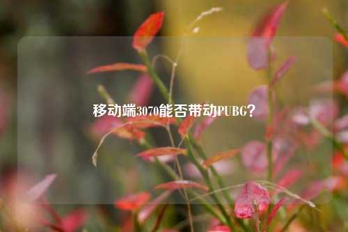 移动端3070能否带动PUBG？