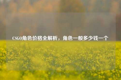 CSGO角色价格全解析，角色一般多少钱一个