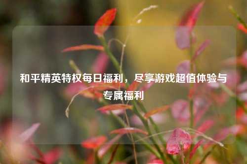 和平精英特权每日福利，尽享游戏超值体验与专属福利