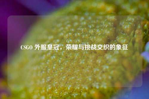 CSGO 外服皇冠，荣耀与挑战交织的象征