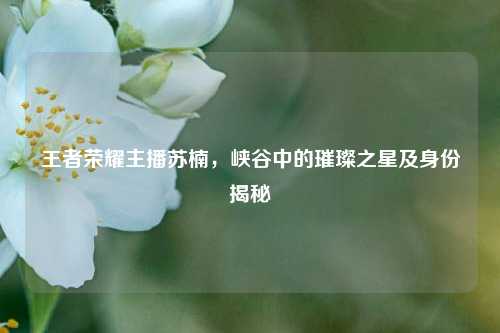 王者荣耀主播苏楠，峡谷中的璀璨之星及身份揭秘