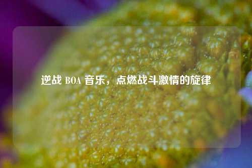 逆战 BOA 音乐，点燃战斗激情的旋律