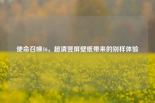使命召唤16，超清竖屏壁纸带来的别样体验