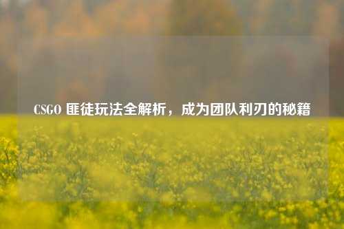 CSGO 匪徒玩法全解析，成为团队利刃的秘籍