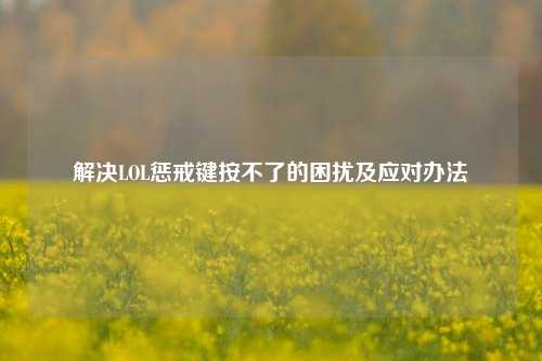 解决LOL惩戒键按不了的困扰及应对办法