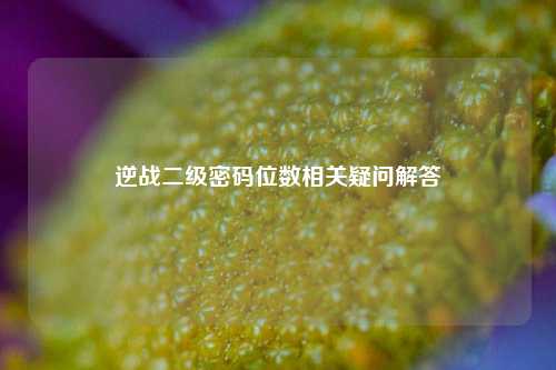 逆战二级密码位数相关疑问解答