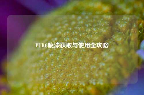 PUBG喷漆获取与使用全攻略
