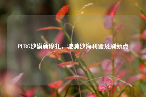 PUBG沙漠新摩托，驰骋沙海利器及刷新点