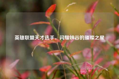 英雄联盟天才选手，闪耀峡谷的璀璨之星